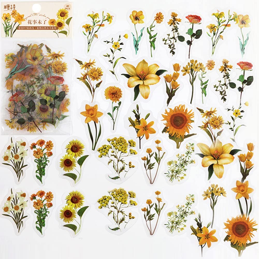 40 adet karalama defteri çıkar - Art Craft Journals incelemesi ve fiyatı